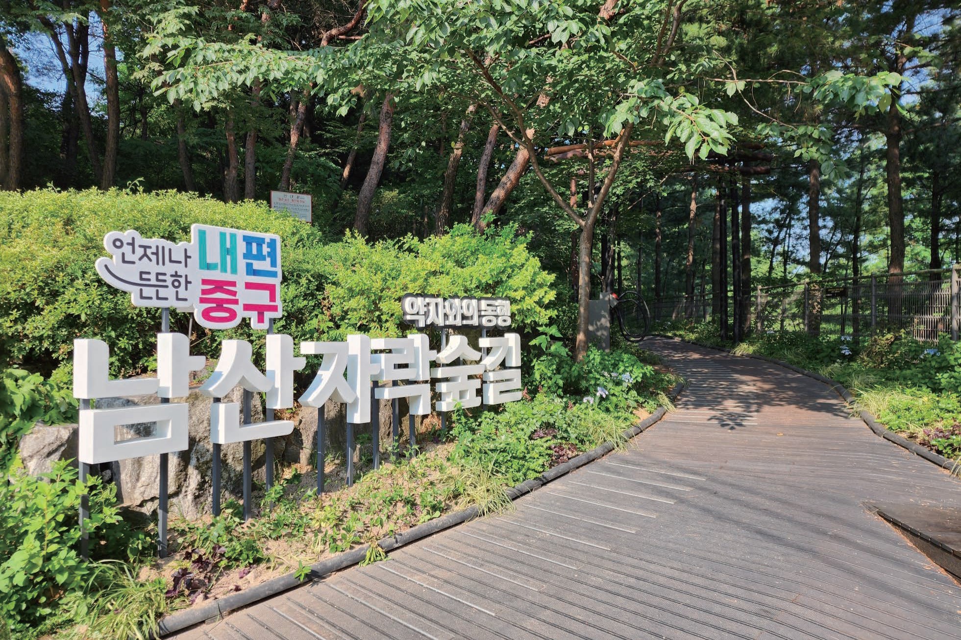 남산자락숲길 5.14km 완성…올해 진입 접근성 확대 썸네일