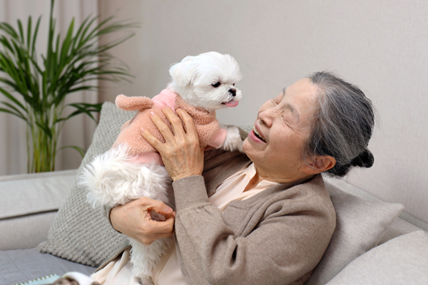 중구, 취약층 반려동물 진료비 최대 40만원 지원 썸네일