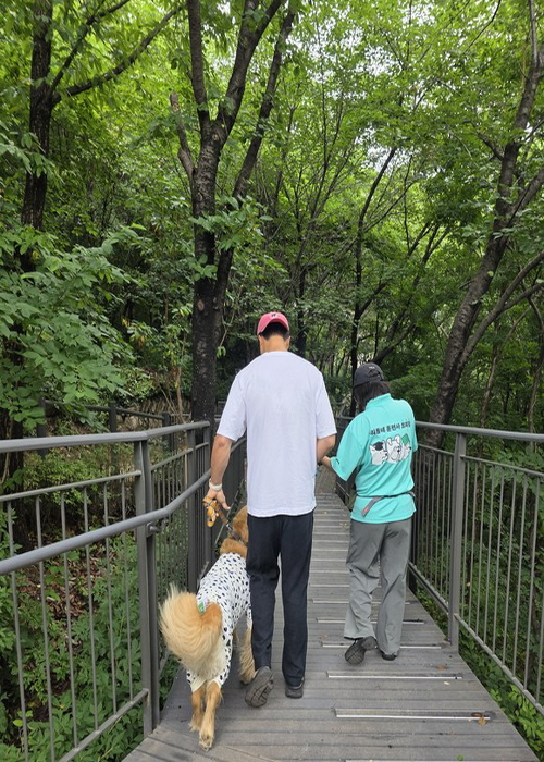 “우리 강아지 마음 알아볼까?” 중구, 우리동네 동물훈련사가 직접 찾아갑니다 썸네일