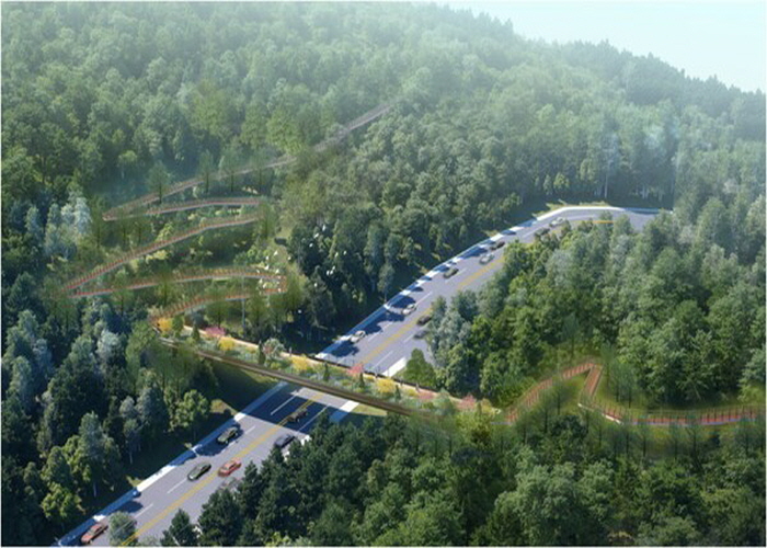 중구, 장충단로 녹지연결로 사업 '본궤도'…2027년 착공 목표 썸네일