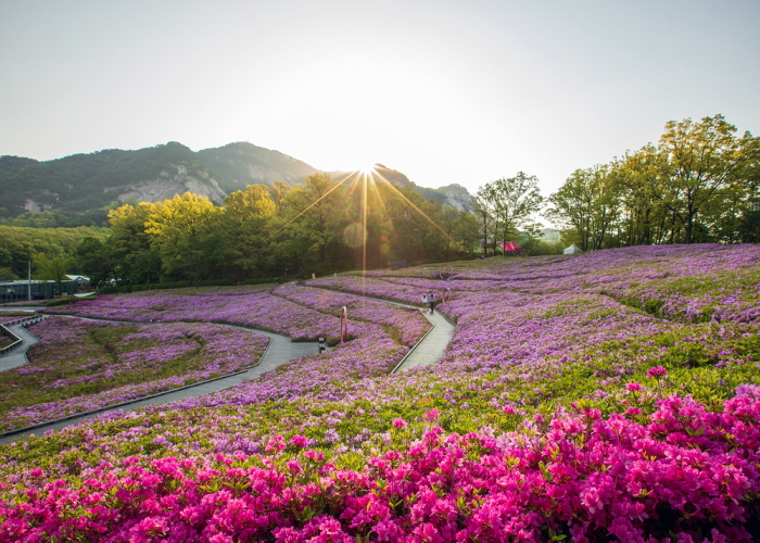 숲은 깊고 산은 높네... 등산 '힐링 콘텐츠' 썸네일