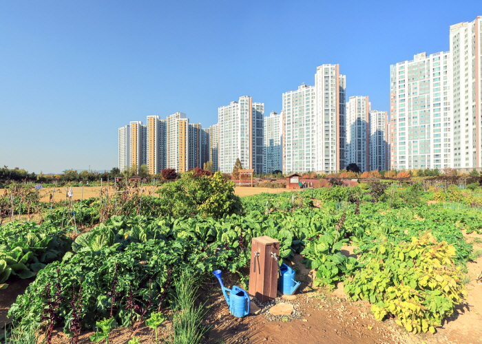 “3번 도전해 당첨” 서울 도시텃밭 열풍 썸네일