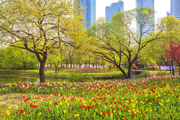 “서울숲 정원에 DDP까지 지루할 틈 없네”…5월 ‘서울 한바퀴’ 즐기는 법 썸네일