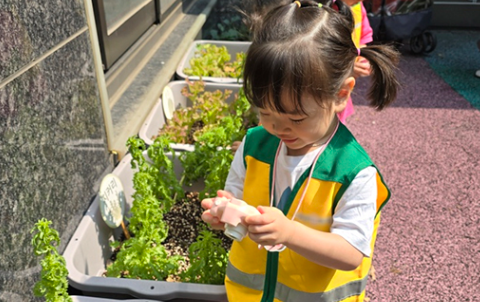 2026년 상자텃밭 가꾸기 신청 안내 썸네일