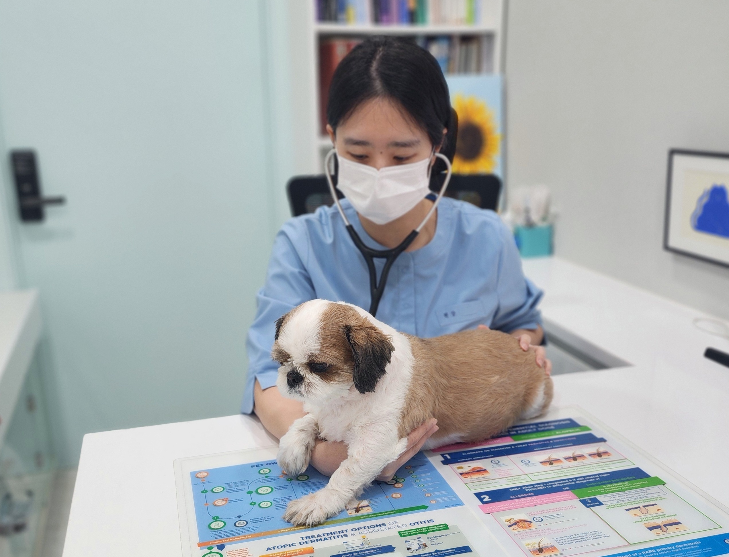 중구, 취약계층 반려동물 의료비 '최대 40만원' 지원 썸네일