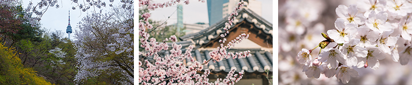 나마산 사진