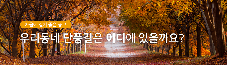 우리동네 단풍길은 어디 있을까