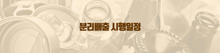 분리배출 시행일정