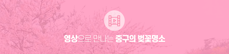영상으로 만나는 중구의 봄꽃명소