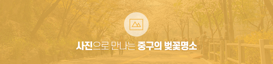 사진으로 만나는 중구의 봄꽃명소