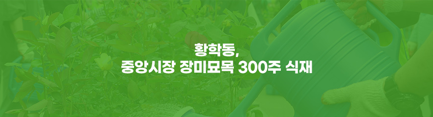 황학동, 중앙시장 장미묘목 300주 식재
